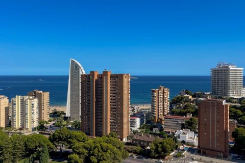 2 dormitorios Apartment en Benidorm, Spain No. 27873 21