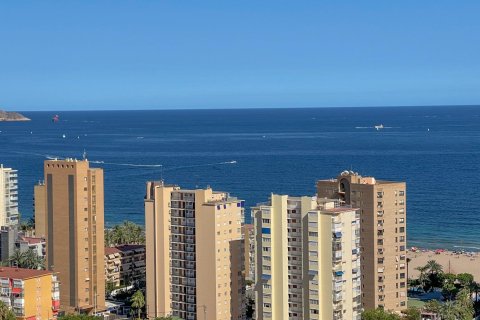 2 bedrooms Apartment in Benidorm, Spain No. 27873 18