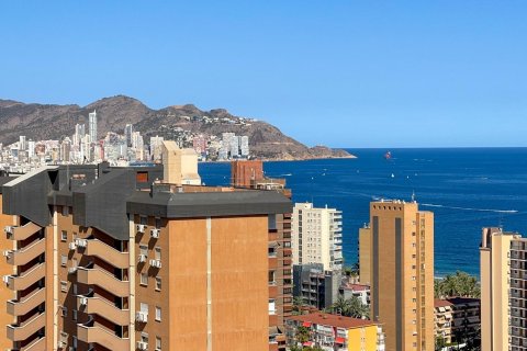 2 chambres Appartement à Benidorm, Spain No. 27873 19