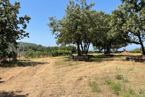 26159m² Land à Corfu, Greece No. 55424 26