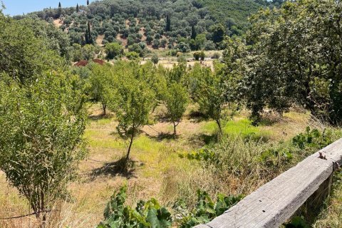 26159m² Land en Corfu, Greece No. 55424 18