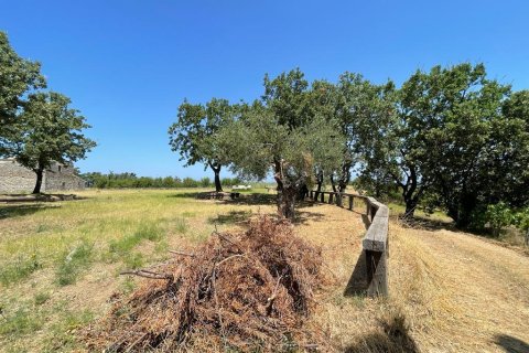 26159m² Land in Corfu, Greece No. 55424 27