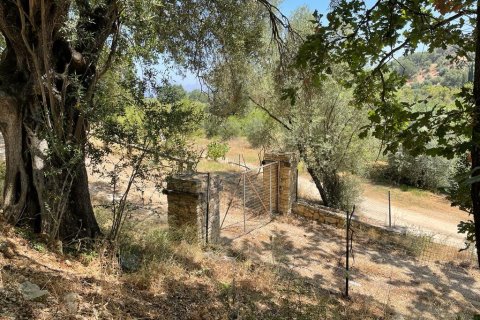 26159m² Land in Corfu, Greece No. 55424 11