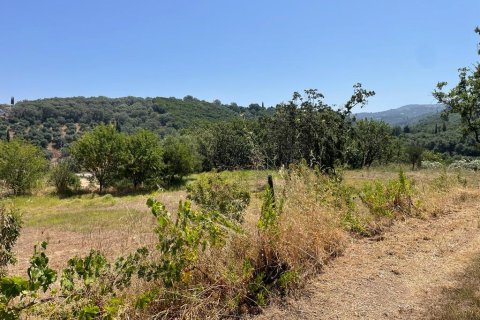 26159m² Land en Corfu, Greece No. 55424 25