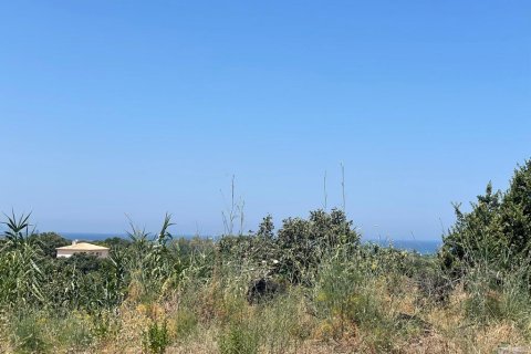 26159m² Land en Corfu, Greece No. 55424 21