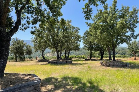 26159m² Land en Corfu, Greece No. 55424 3