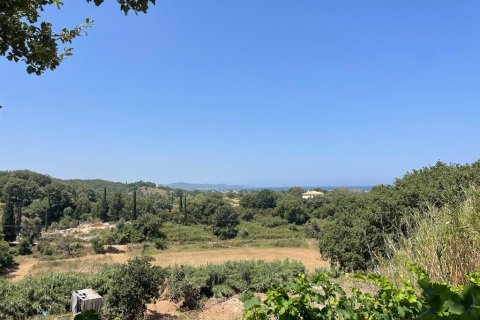 26159m² Land en Corfu, Greece No. 55424 20