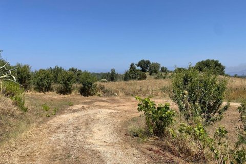 26159m² Land à Corfu, Greece No. 55424 23