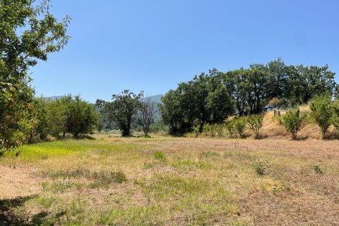 26159m² Land en Corfu, Greece No. 55424 17