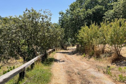 26159m² Land in Corfu, Greece No. 55424 16