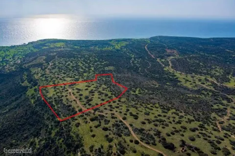 40135m² Land à Pissouri, Cyprus No. 35358 1