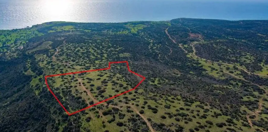 40135m² Land in Pissouri, Cyprus No. 35358