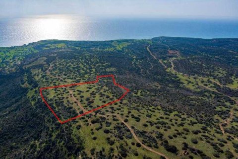 40135m² Land à Pissouri, Cyprus No. 35358 1