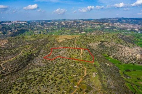 40135m² Land à Pissouri, Cyprus No. 35358 3