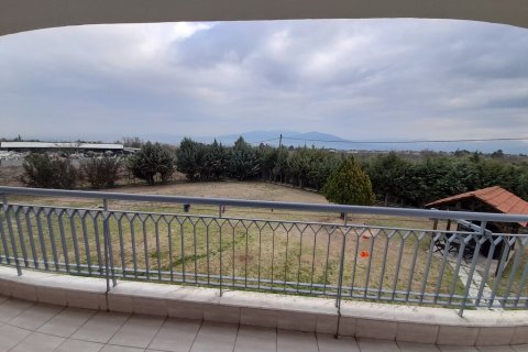 220m² House en Euboea, Greece No. 55630 7