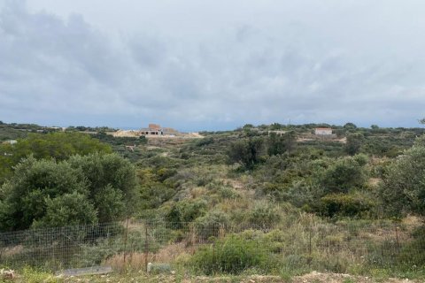 11799m² Land en Chania, Greece No. 55508 5