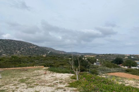 11799m² Land in Chania, Greece No. 55508 4