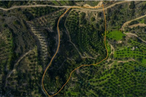 15165m² Land in Sitia, Greece No. 55806 3