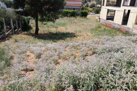 750m² Land à Pylaia, Greece No. 55920 6