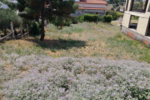 750m² Land in Pylaia, Greece No. 55920 3