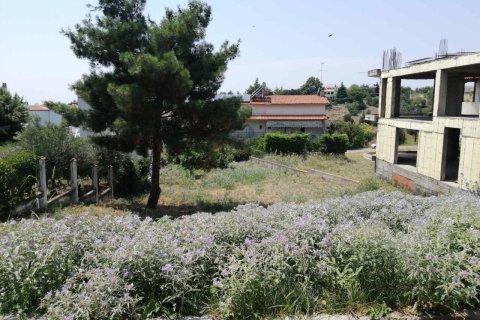 750m² Land in Pylaia, Greece No. 55920 2