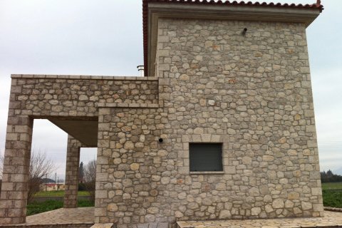 600m² Negocio en Achaea, Greece No. 55931 15