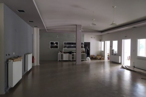 488m² Bâtiment à Chortiatis, Greece No. 55896 11