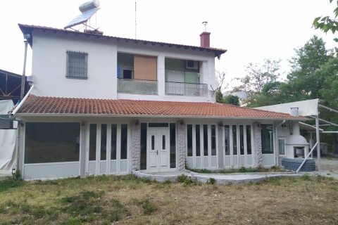 488m² Building in Chortiatis, Greece No. 55896 3