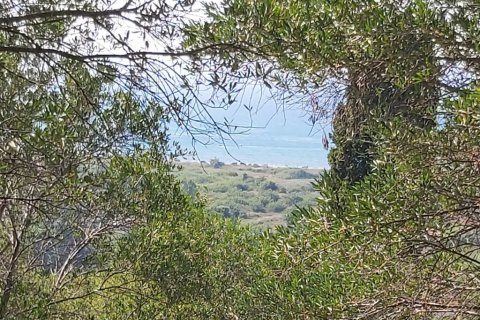 4500m² Land in Corfu, Greece No. 55934 1