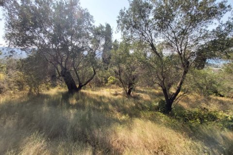 4500m² Land in Corfu, Greece No. 55934 6