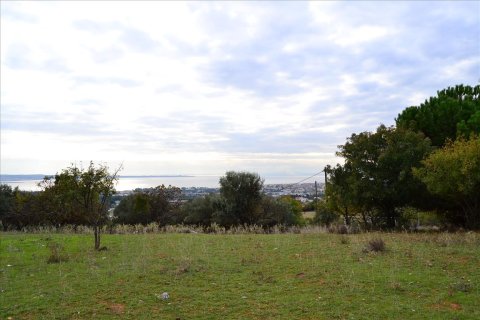 3800m² Land en Pylaia, Greece No. 59339 2