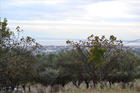 3800m² Land à Pylaia, Greece No. 59339 4