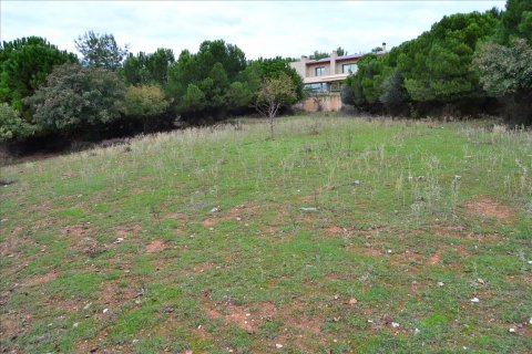 3800m² Land à Pylaia, Greece No. 59339 3