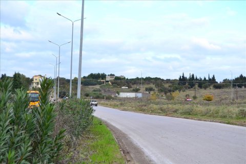 3800m² Land à Pylaia, Greece No. 59339 6