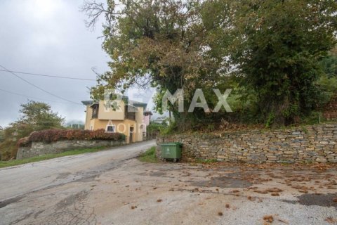 366m² House in Mouresi, Greece No. 27987 25