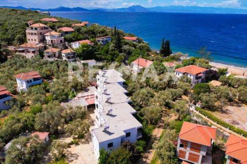 3 bedrooms Hotel in Magnesia, Greece No. 28026 3