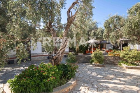 3 bedrooms Hotel in Magnesia, Greece No. 28026 5