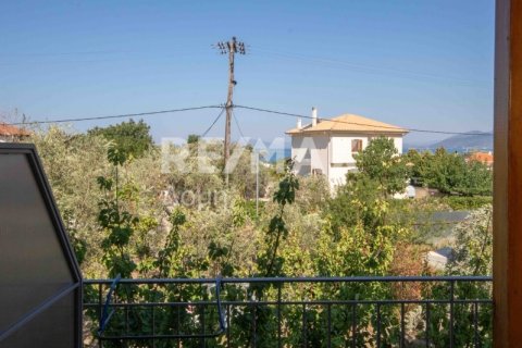 3 bedrooms Hotel in Magnesia, Greece No. 28026 12