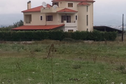 365m² House in Euboea, Greece No. 55787 4