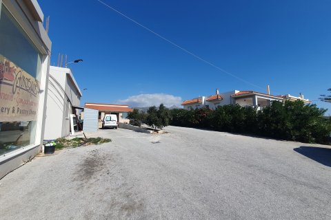 335m² Affaires à Ierapetra, Greece No. 55792 2