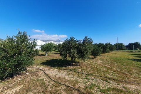 335m² Negocio en Ierapetra, Greece No. 55792 9