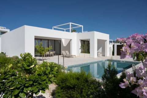 3 bedrooms Villa in Pegeia, Cyprus No. 63366 1