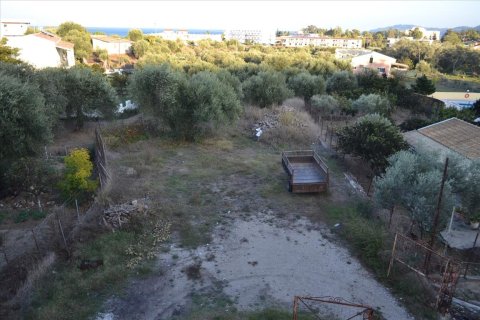 713m² Negocio en Corfu, Greece No. 57821 24