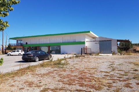 350m² Negocio en Chalkidiki, Greece No. 57823 3