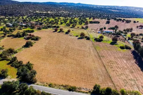 14308m² Land in Kouklia, Cyprus No. 35704 3