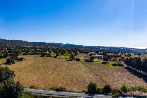 14308m² Land en Kouklia, Cyprus No. 35704 2