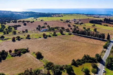 14308m² Land in Kouklia, Cyprus No. 35704 4