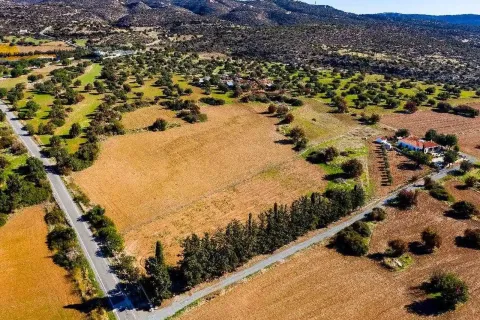 14308m² Land en Kouklia, Cyprus No. 35704 5