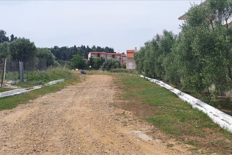 5786m² Land in Chalkidiki, Greece No. 56559 3