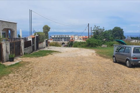 5786m² Land in Chalkidiki, Greece No. 56559 2